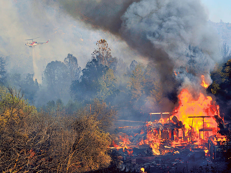 1.1374444-2348377628