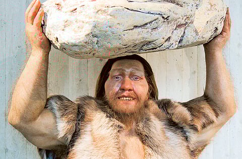 Neanderthals shape up as globe’s first jewellers