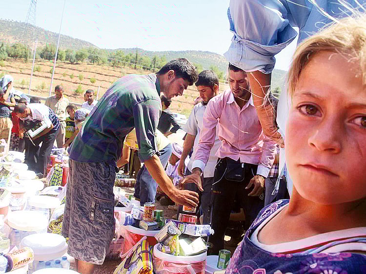 1.1375245-4116798266