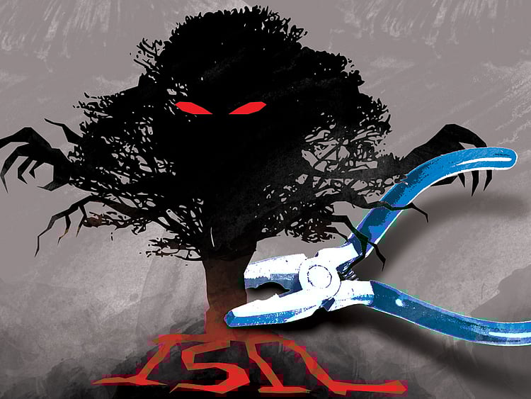 1.1375291-2310705091