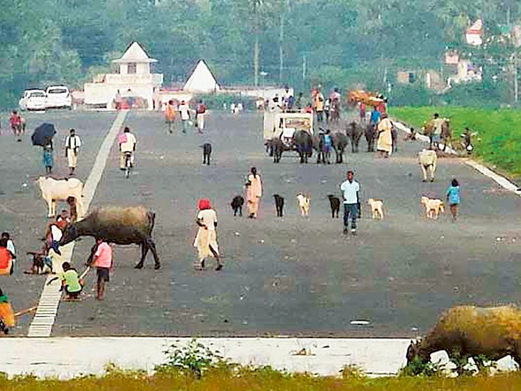 1.1375633-3767779972