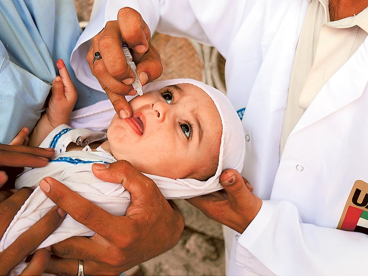 1.1375651-2043298677