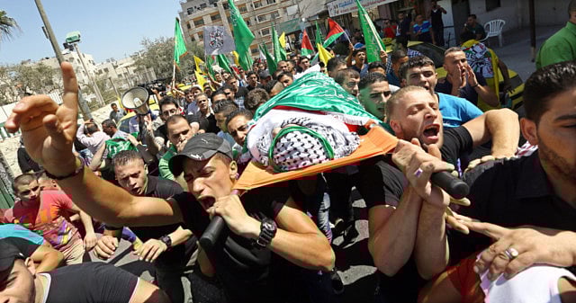 1.1376253-1166420341