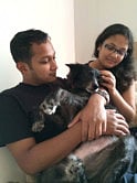 UAE lacks appropriate facilities for pets