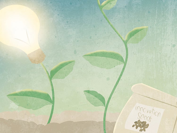 1.1376717-4142077372