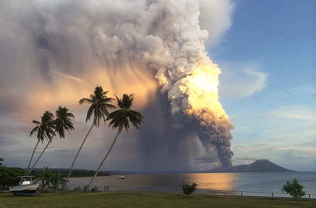 1.1378033-1569512195