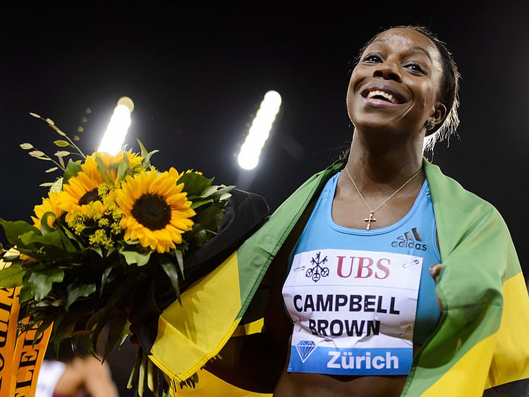 1.1378048-2058032861