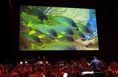 BBC Blue Planet in concert in Abu Dhabi
