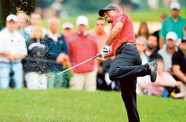 1.1367116-3534616588