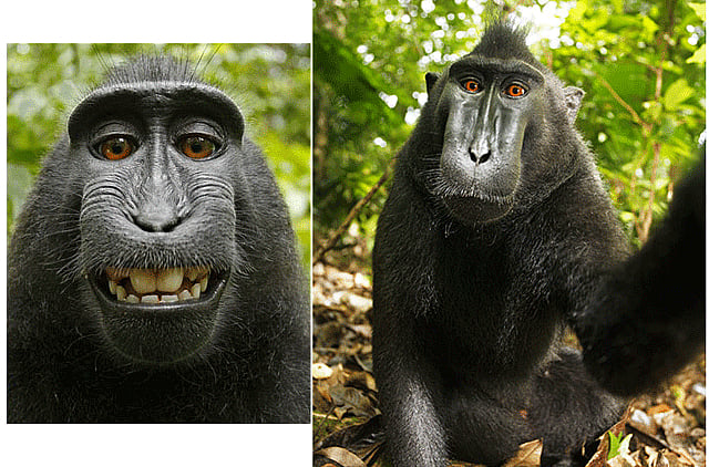 1.1368068-2998240461