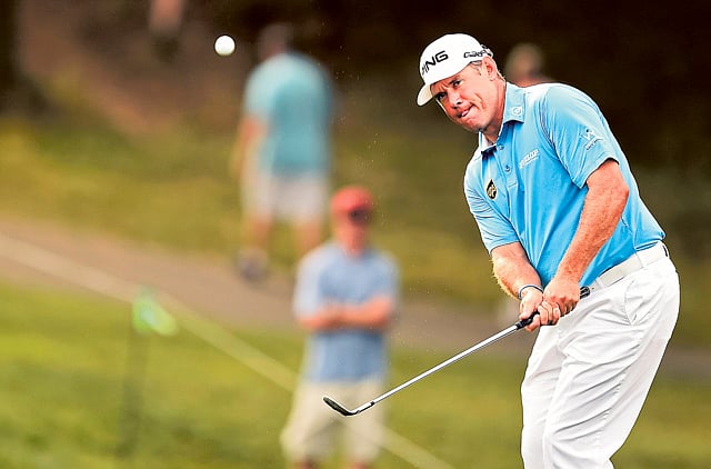 1.1369445-2312942756