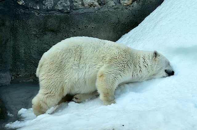 1.1369645-4290536144