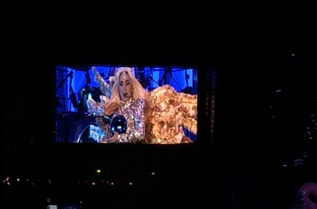 1.1383259-1981800709