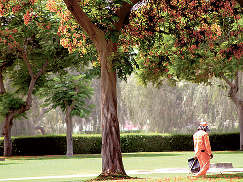 Picture for illustrative purposes: image of a Dubai park 