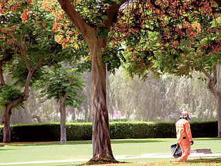 Coronavirus: 70 parks to reopen in Dubai on Monday
