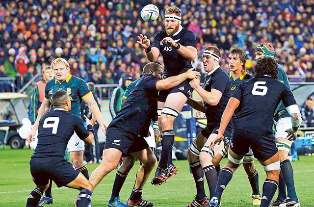 1.1384644-1159161526