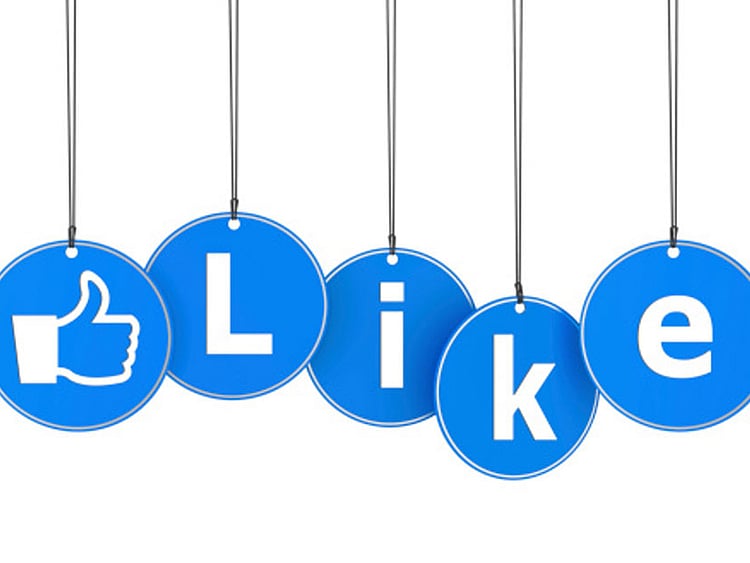 1.1448736-2606969009