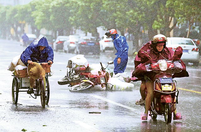 1.1385702-1535953271