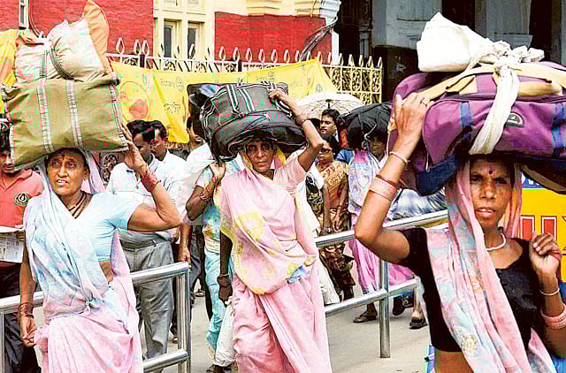 1.1386700-1646982242