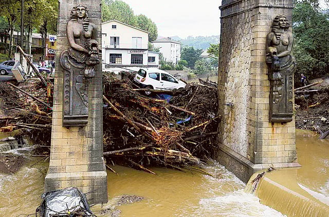 1.1386877-1691636999