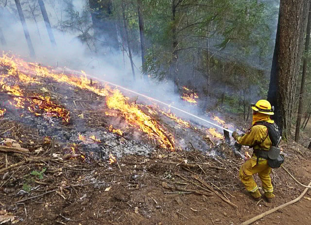 1.1387195-1481999476