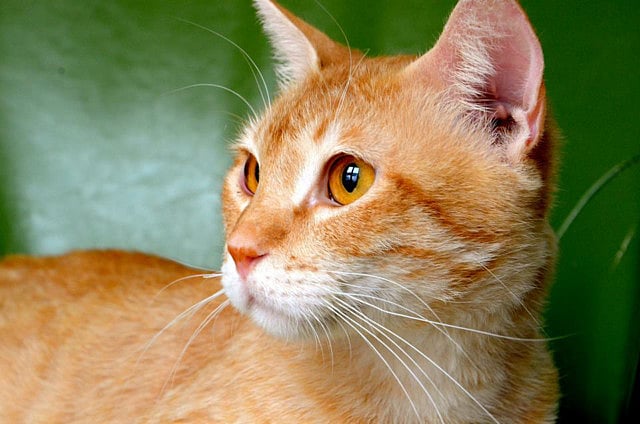 1.1379620-3632351594