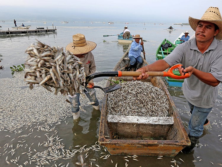 1.1379702-3818193895