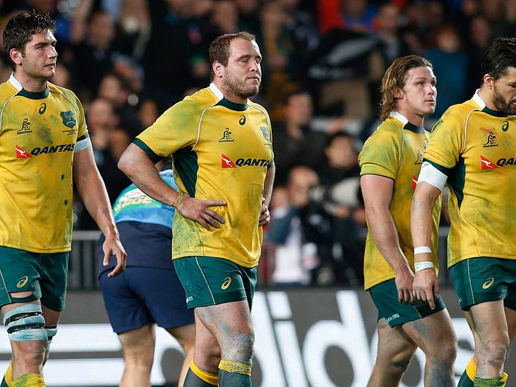 1.1379587-1750488769