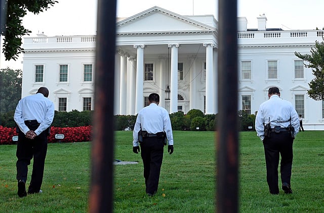 1.1387506-1473160342