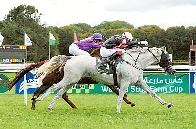 1.1388943-2417126597