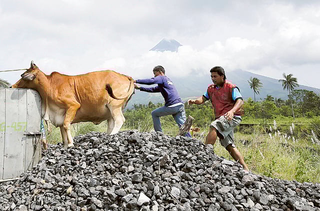 1.1390028-3220803733