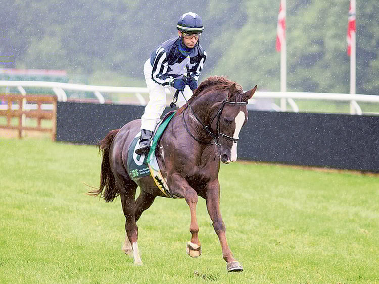 1.1390215-3347277221