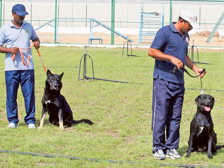 1.1390554-2623033473