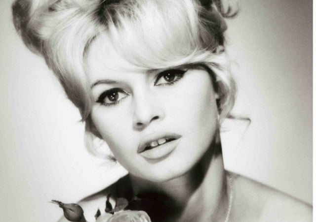 1.1390847-1202321703