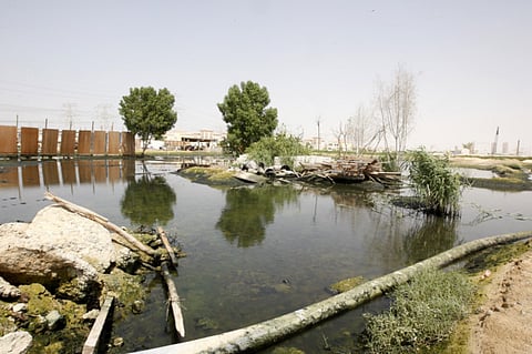 Zarina Fernandes /Gulf News