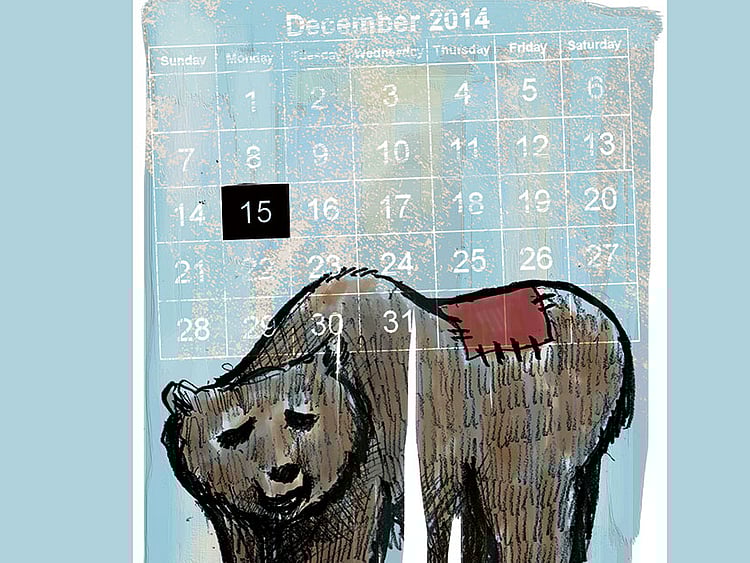 1.1434477-3401955939