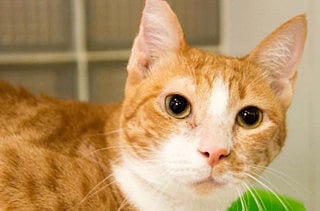 1.1440467-3026470489