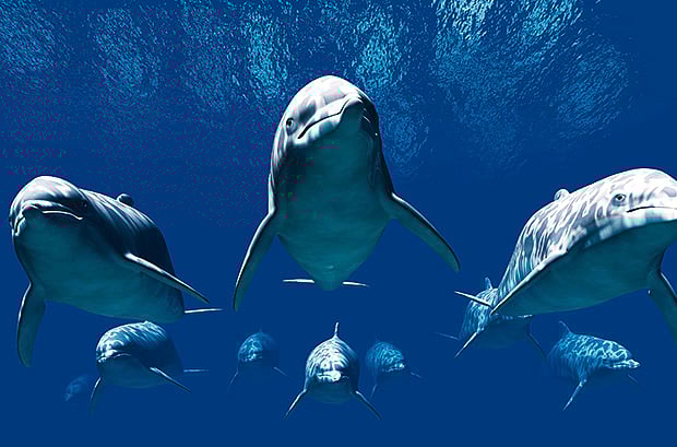 1.2034053-3887869519