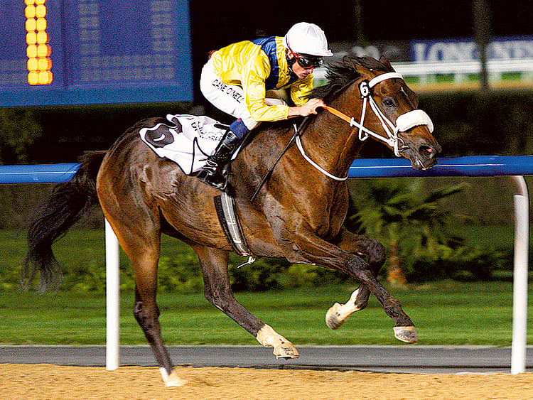 1.1442317-2841092669