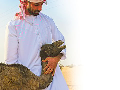 Ahmed Ramzan/Gulf News