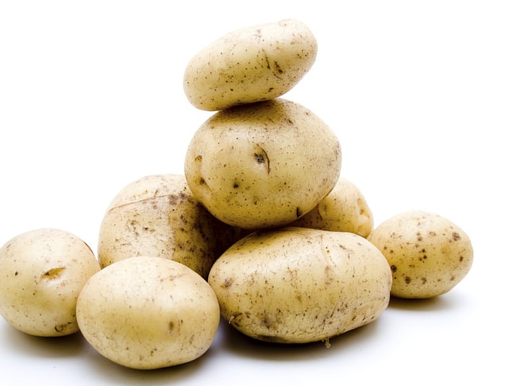 1.2007661-1697391797