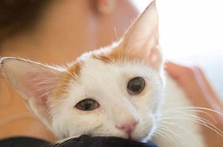 1.1444844-3095114604