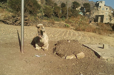 Al Wajeeh Ali’s Facebook page