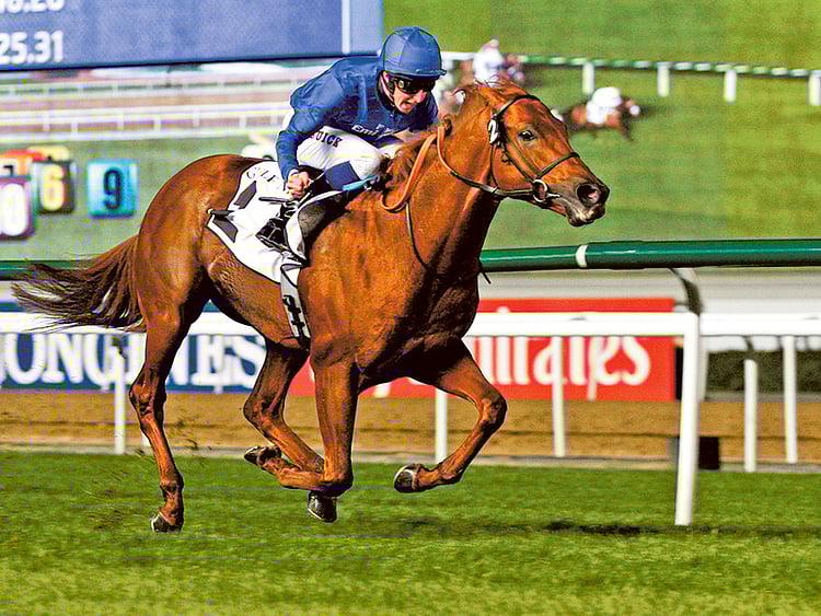 1.1445697-4048305686