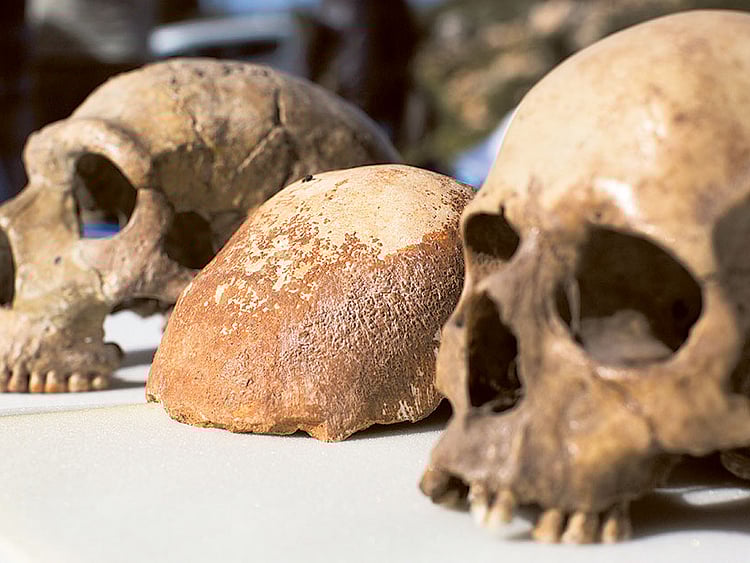 1.1448518-3100945960