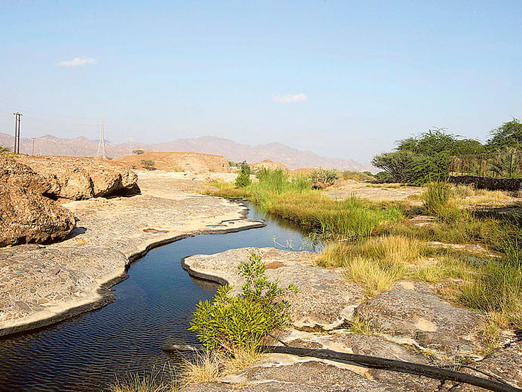 1.1446439-1362077489