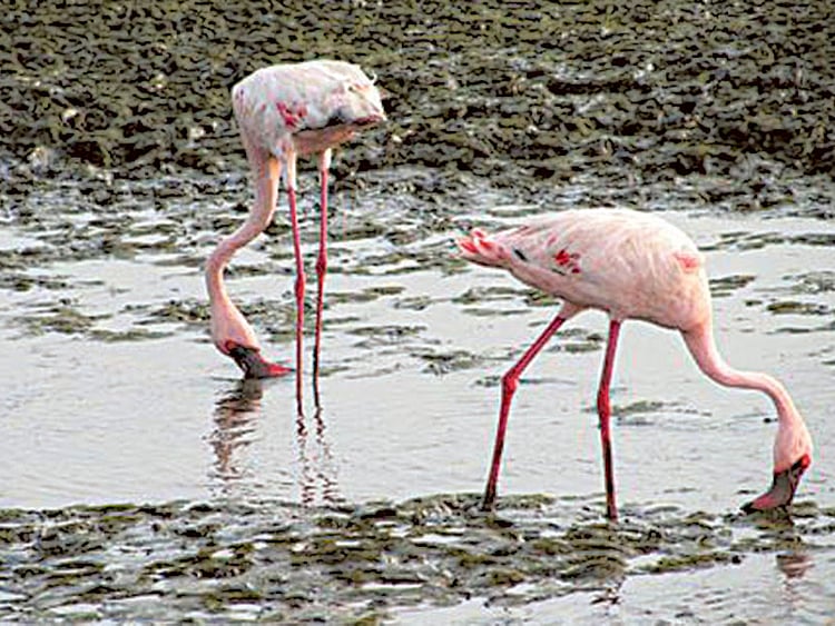 1.1449203-2404956083