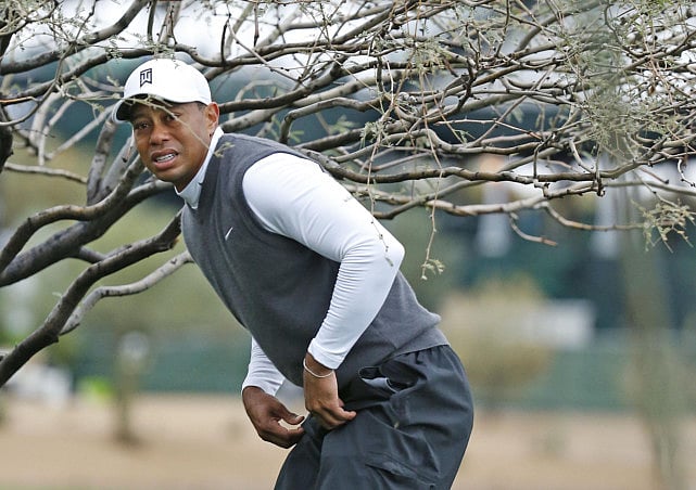 1.1449154-1948448494