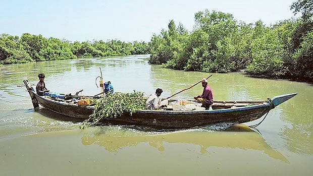 1.1435737-4176503693