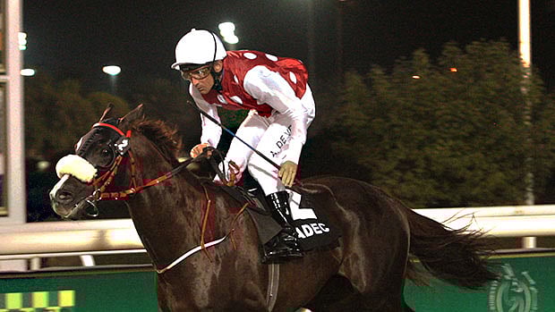 1.1436435-2305875025